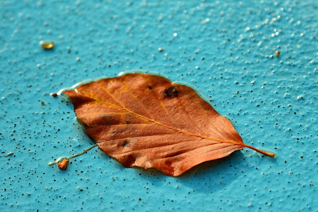 Pool Safety Inspections Mudgeeraba