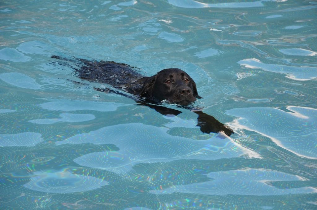 Pool Safety Inspections Sunshine Acres